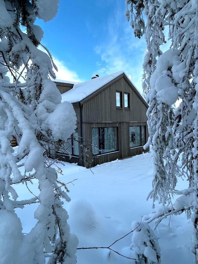 Villa Martebaecken 21 Sälen Exterior foto